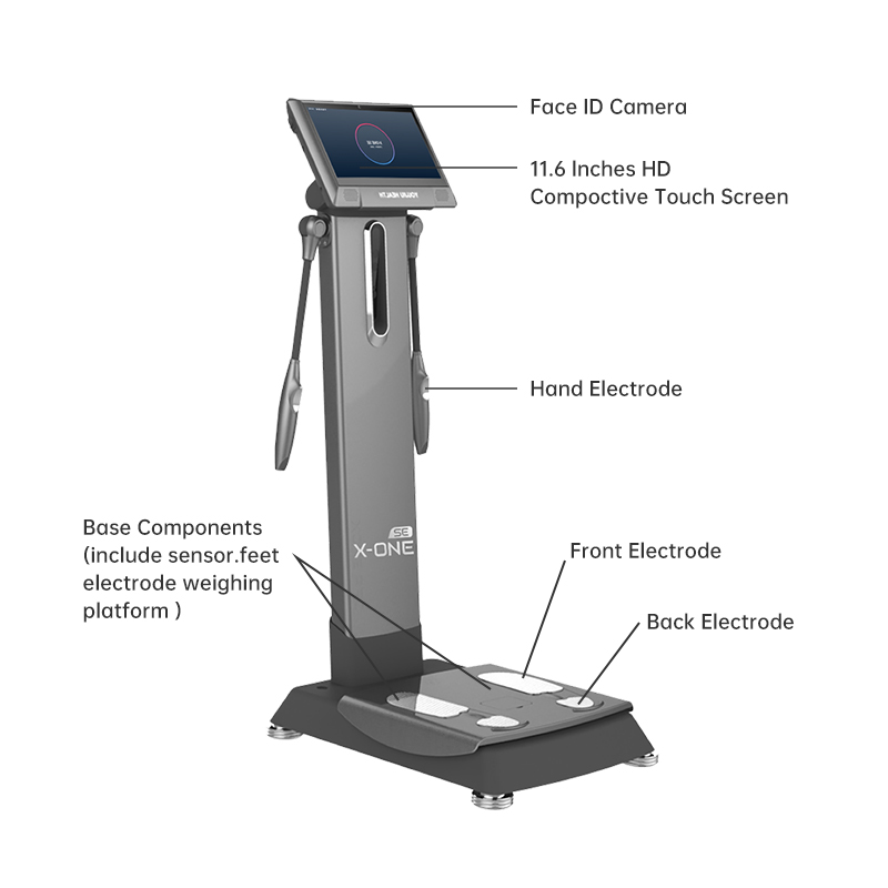 X ONE SE Body Massager Full Bo - Nutrition For Fitness Training recension och pris