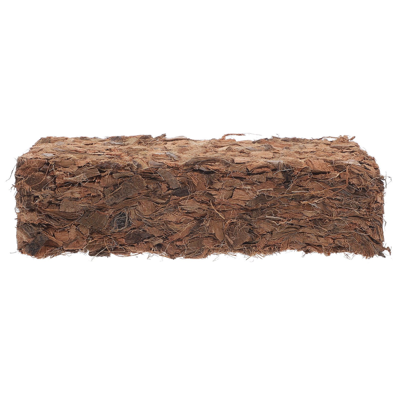 Plant Nursery Block Coconut Co - Nutrition & Fitness Coaching Fulham recension och pris