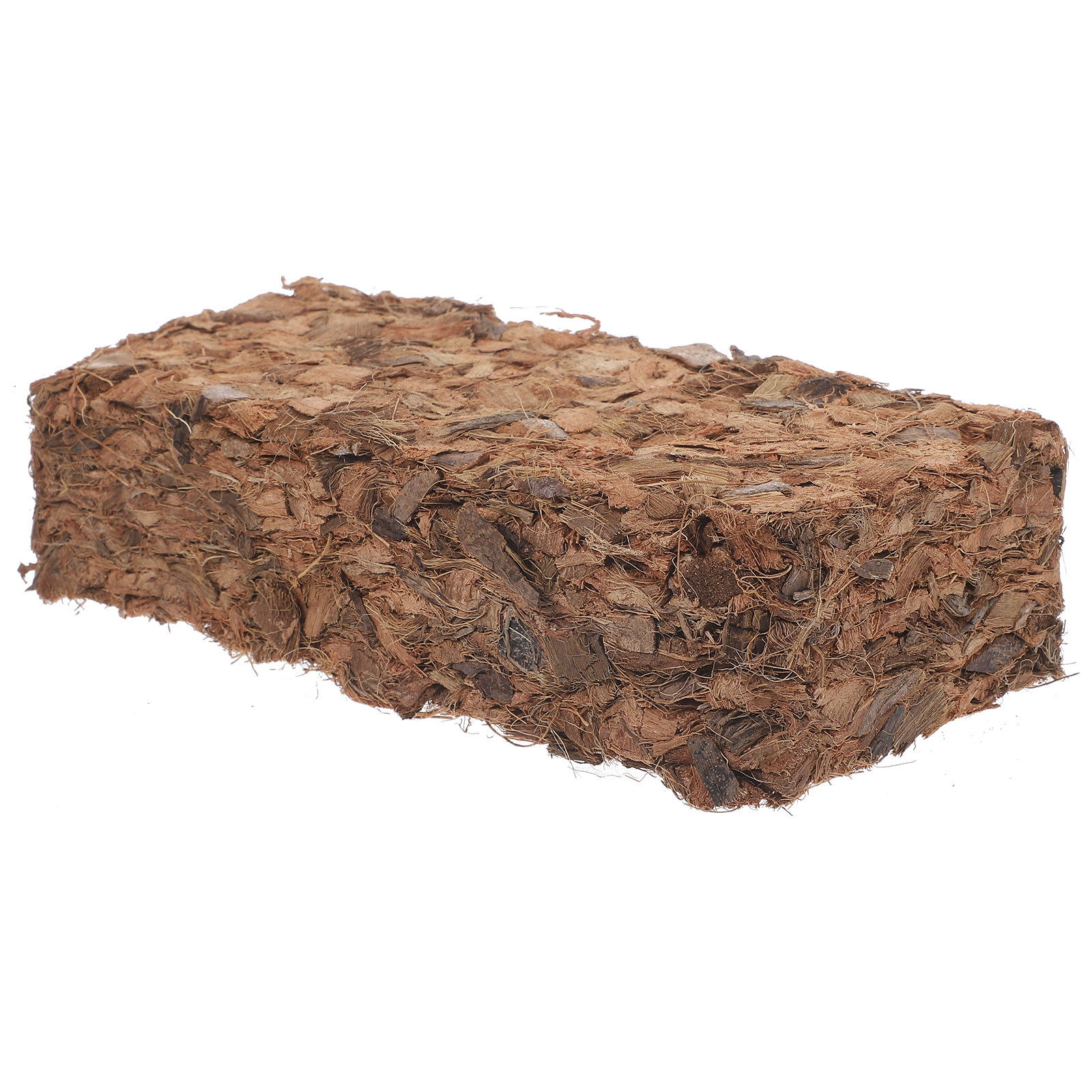 Plant Nursery Block Coconut Co - Nutrition & Fitness Coaching Fulham recension och pris
