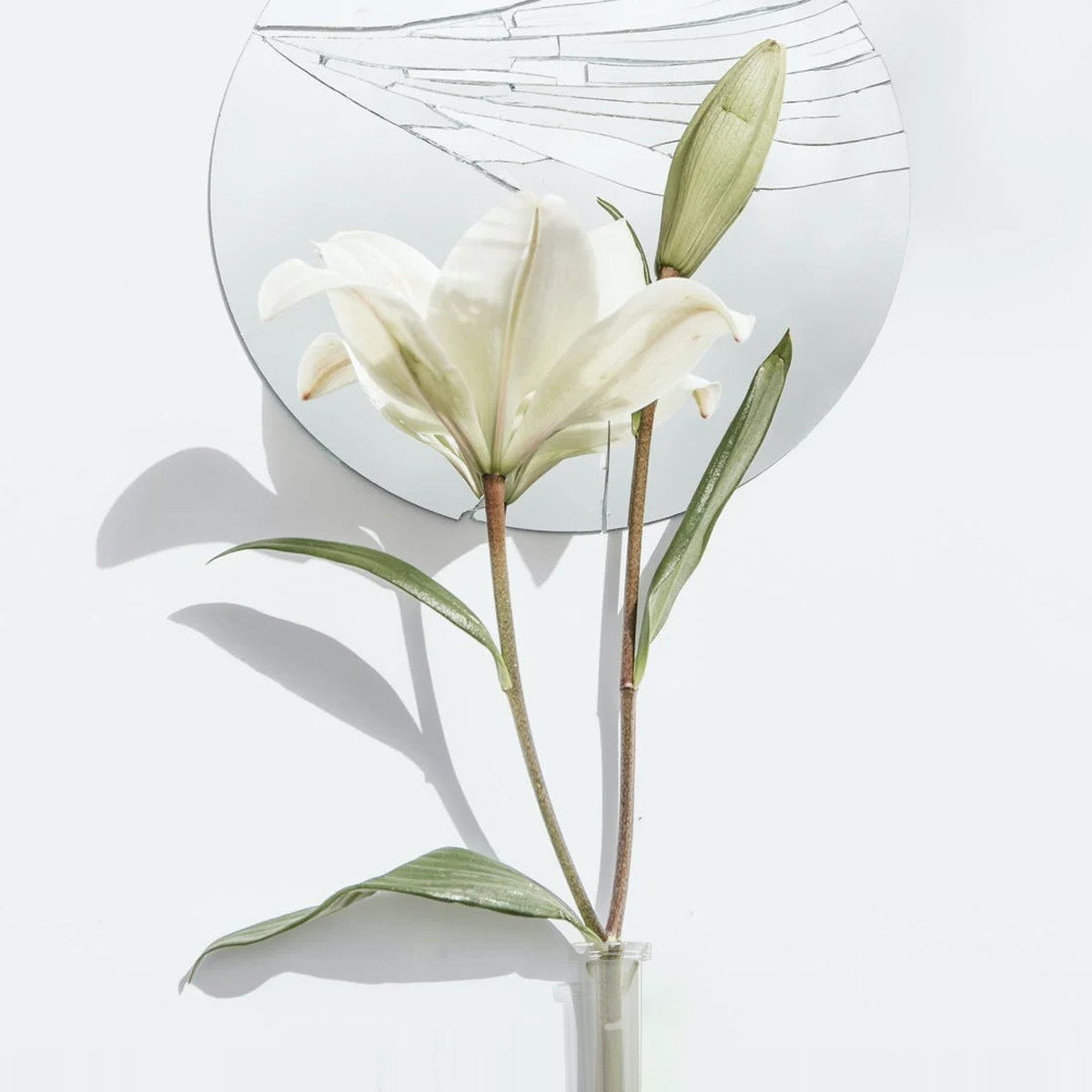 50Pcs Transparent Flower Water - Nutrition & Fitness Coaching Fulham recension och pris