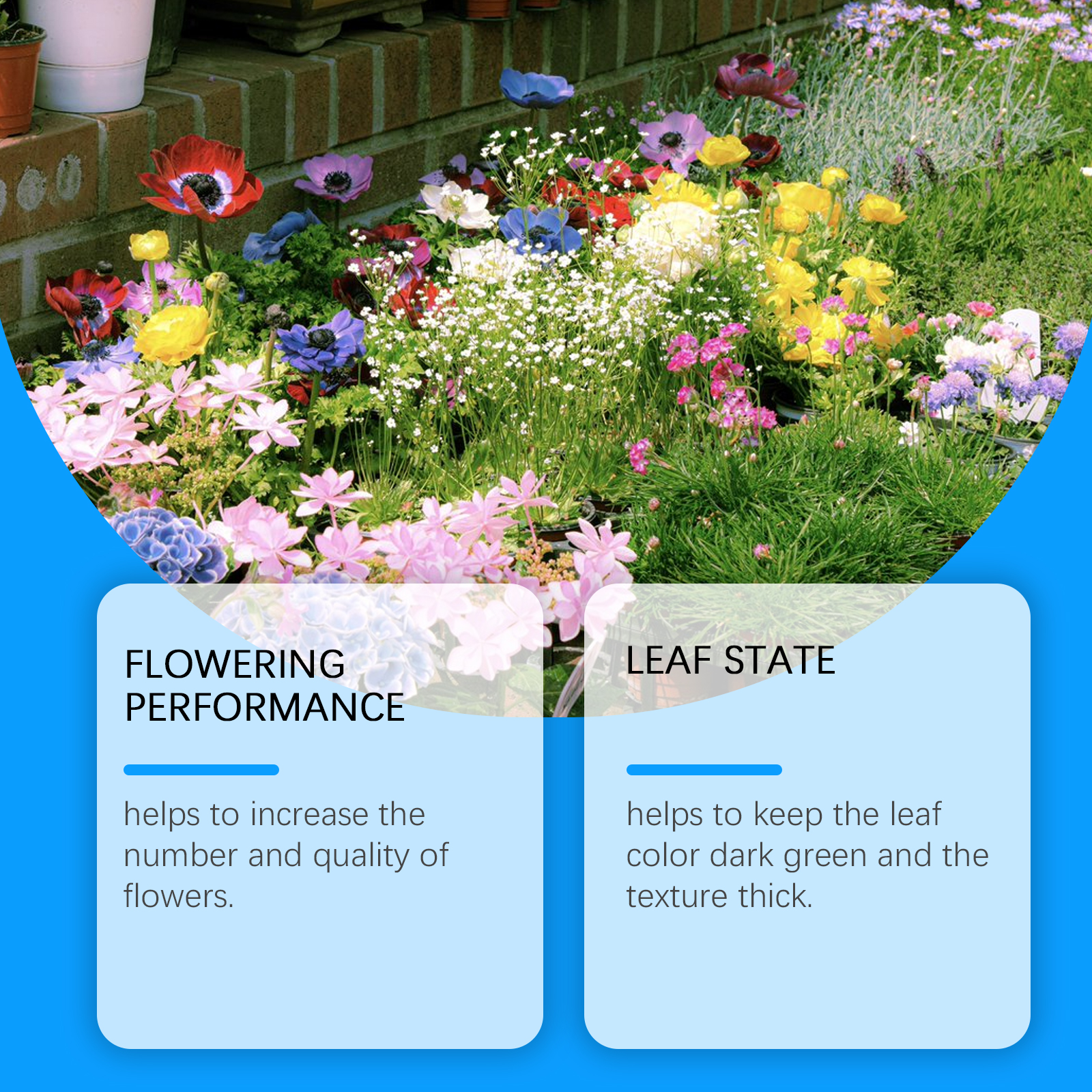 Flower Nutrient Solution Liqui - Nutrition & Fitness Coaching Fulham recension och pris