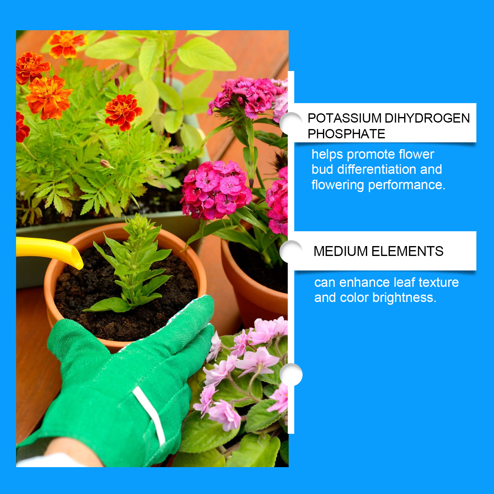 Flower Nutrient Solution Liqui - Nutrition & Fitness Coaching Fulham recension och pris